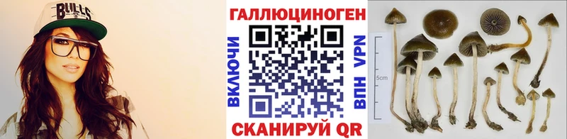 кракен рабочий сайт Красноуфимск нарко площадка какой сайт Галлюциногенные грибы мицелий